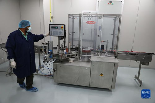 通讯 探访埃及本土化生产中国新冠疫苗工厂
